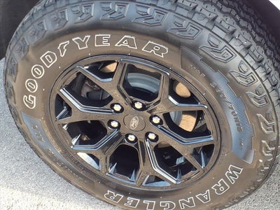 2024 Ford Expedition Timberline