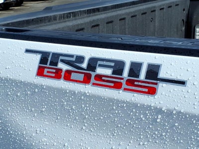 2020 Chevrolet Silverado 1500 LT Trail Boss