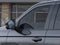 2026 Ford Expedition Tremor®